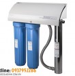 Bộ Lọc Nước Đầu Nguồn Chung Cư Atlas Filtri BIG F PRO 256