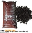 Than Hoạt Tính Lọc Nước Ấn Độ OVIO
