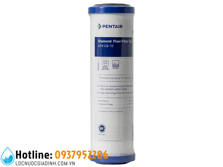 Lõi Lọc Thô Pentair DFX CB-10