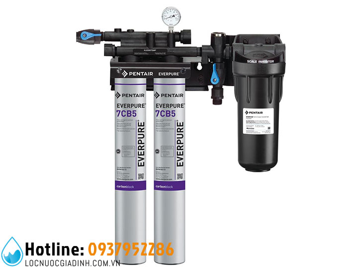 Máy Lọc Nước Pentair Kleensteam Twin Cho Máy Hấp