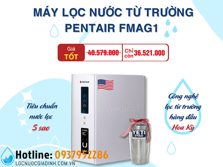 Máy Lọc Nước Từ Trường Pentair FMAG1 Cao Cấp